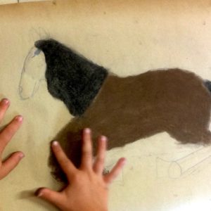 Samstagswerkstatt: Pferde zeichnen